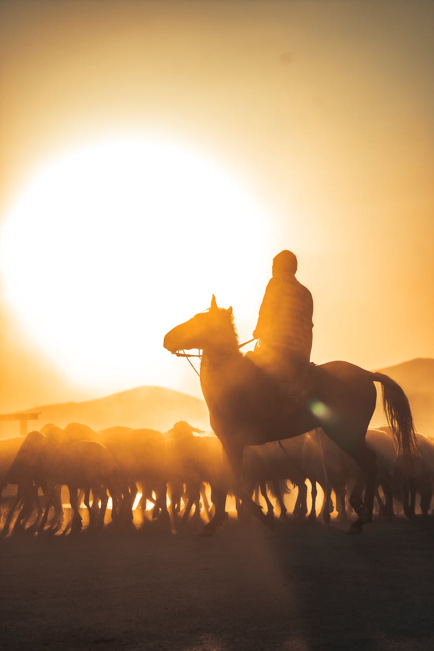 light dawn landscape sunset