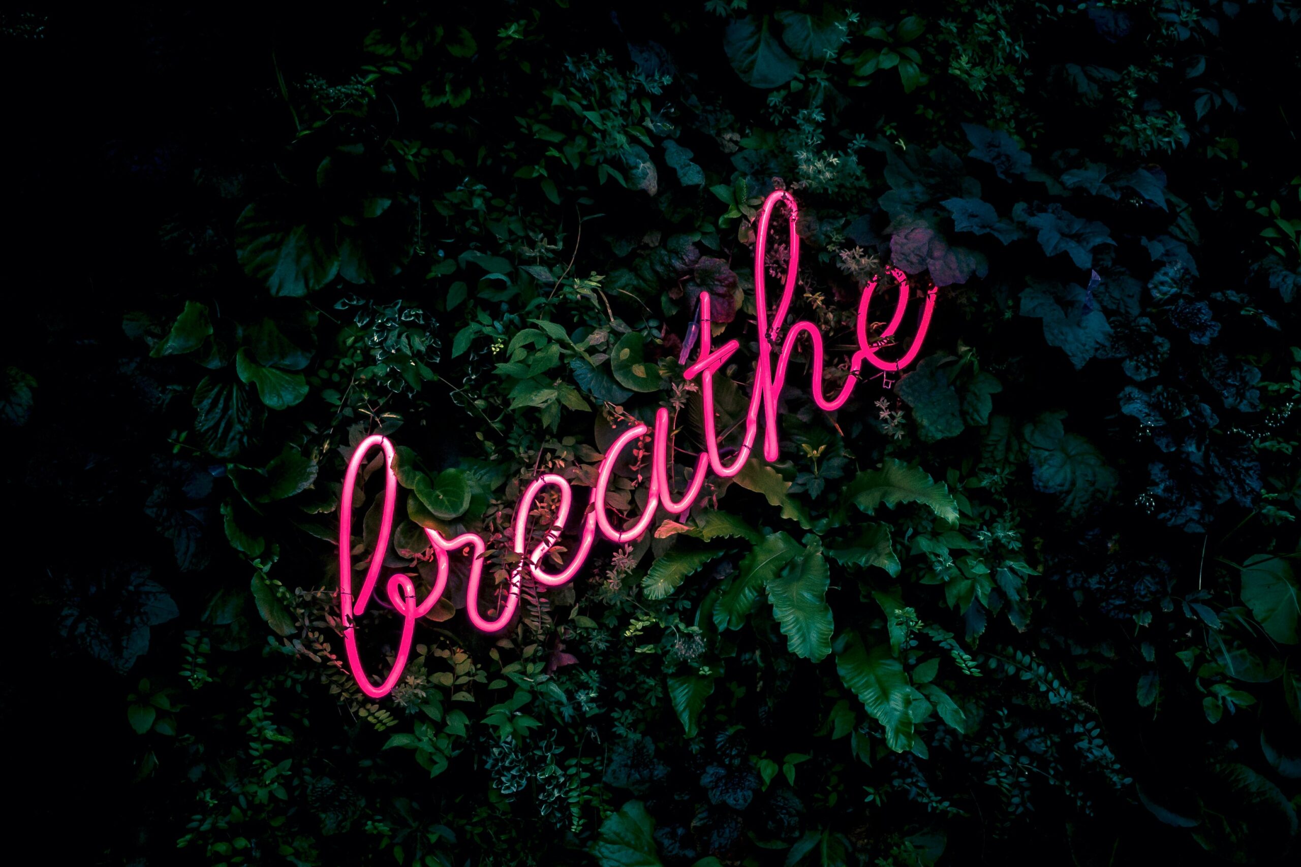 Do you want to be free? Can breathing help?