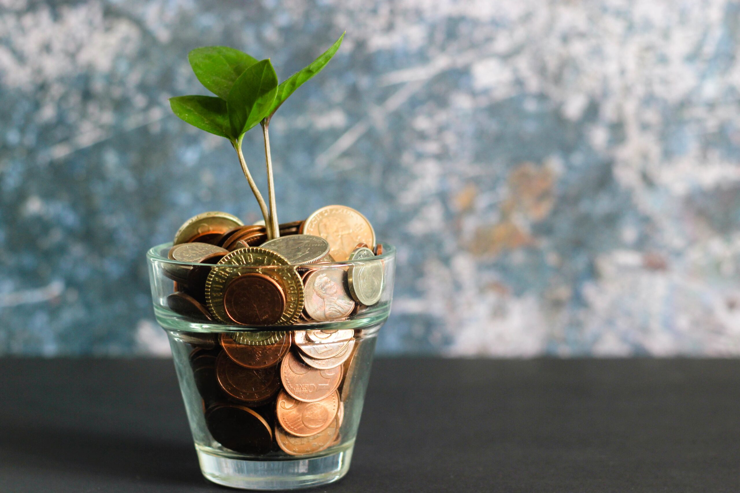 Money Pot (money in a jar and a plant growing from it)